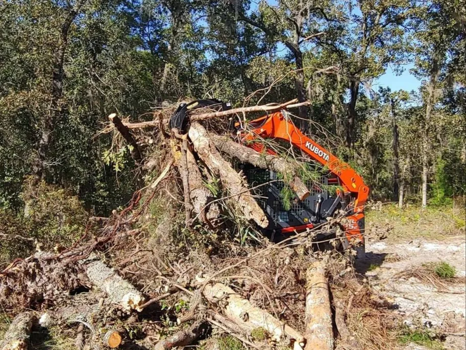Track loader with a grapple stacking cut logs and limbs on a debris pile, debris removal