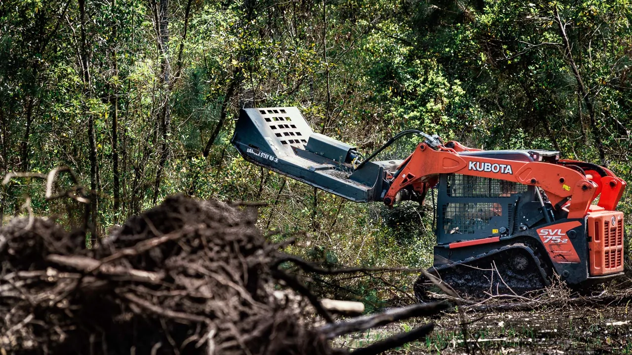 Track loader reaching a brush cutter into the trees beside a pile of pulled roots on a wooded lot, land clearing