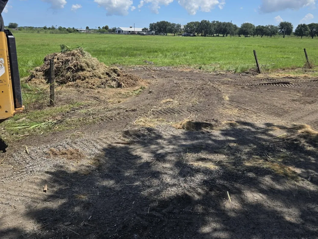 Pile of mulched growth beside a cleared fence line along a pasture, invasive plant removal