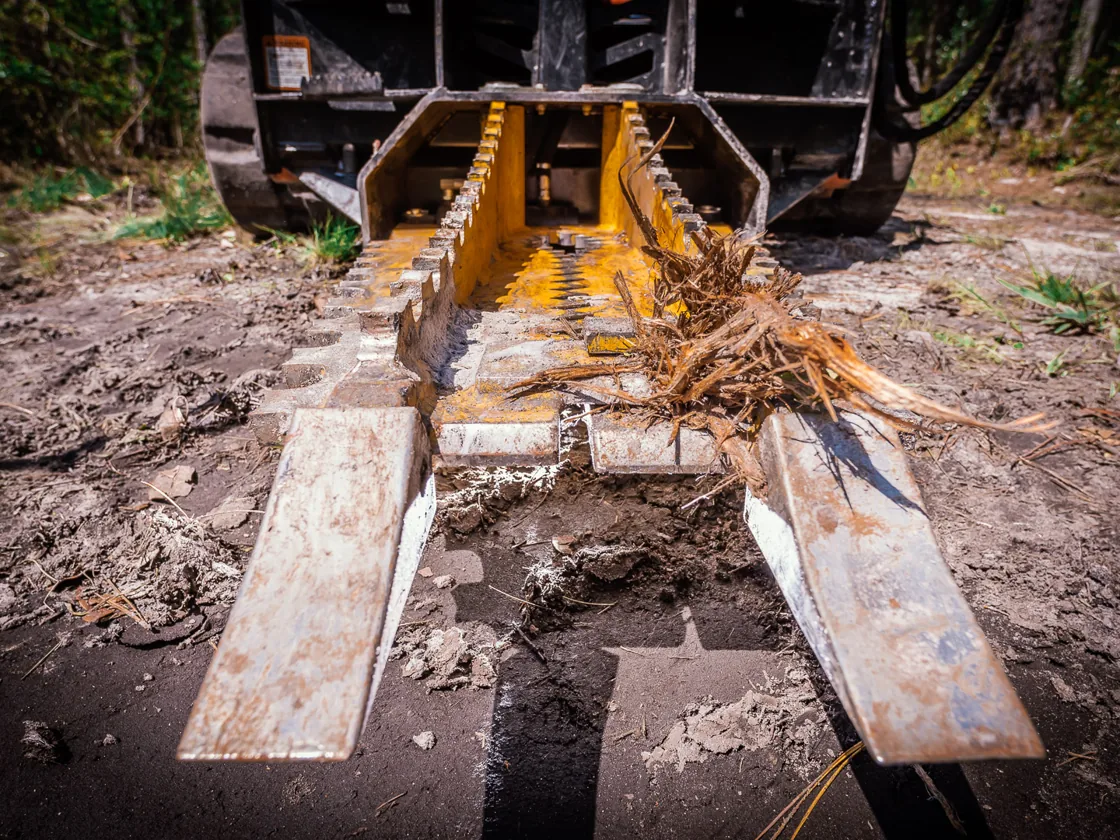 Tree puller jaws over the hole left by a plant pulled out roots and all, invasive plant removal