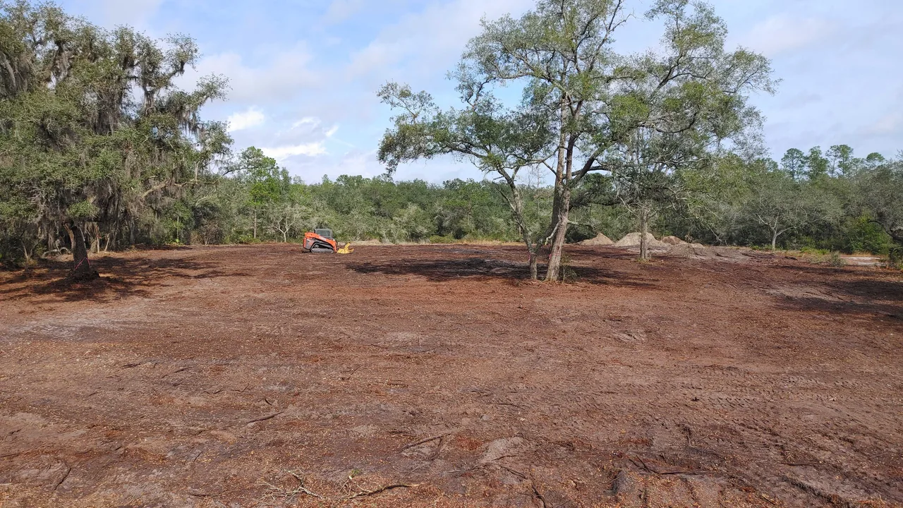 Land clearing in Daytona Beach, FL