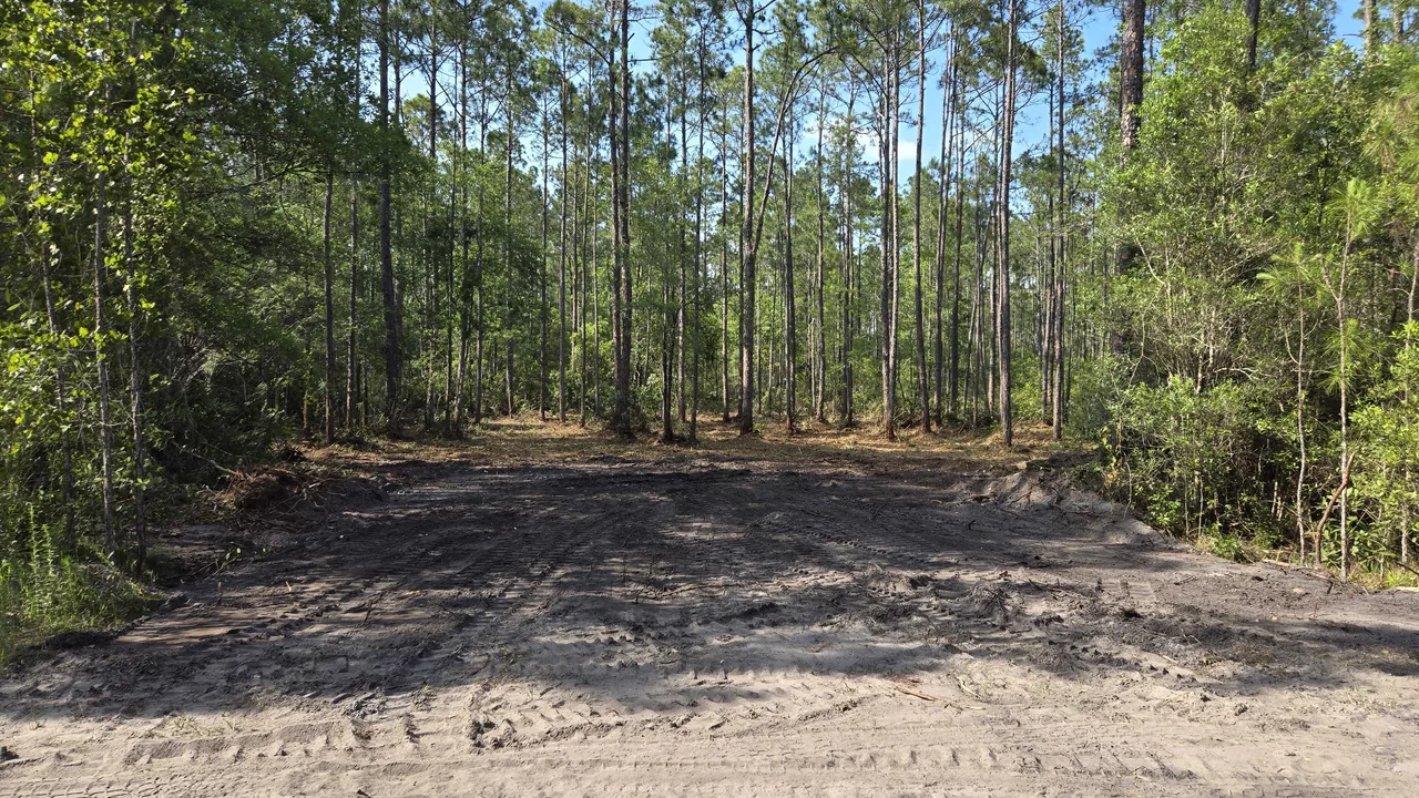 Land clearing in New Smyrna Beach, FL