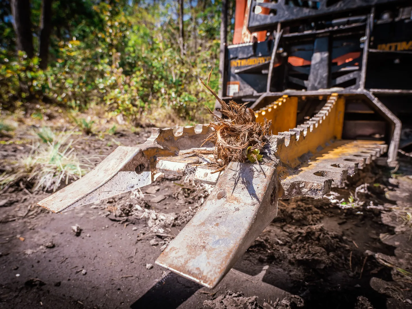 Tree puller jaws holding roots pulled from the ground during land clearing