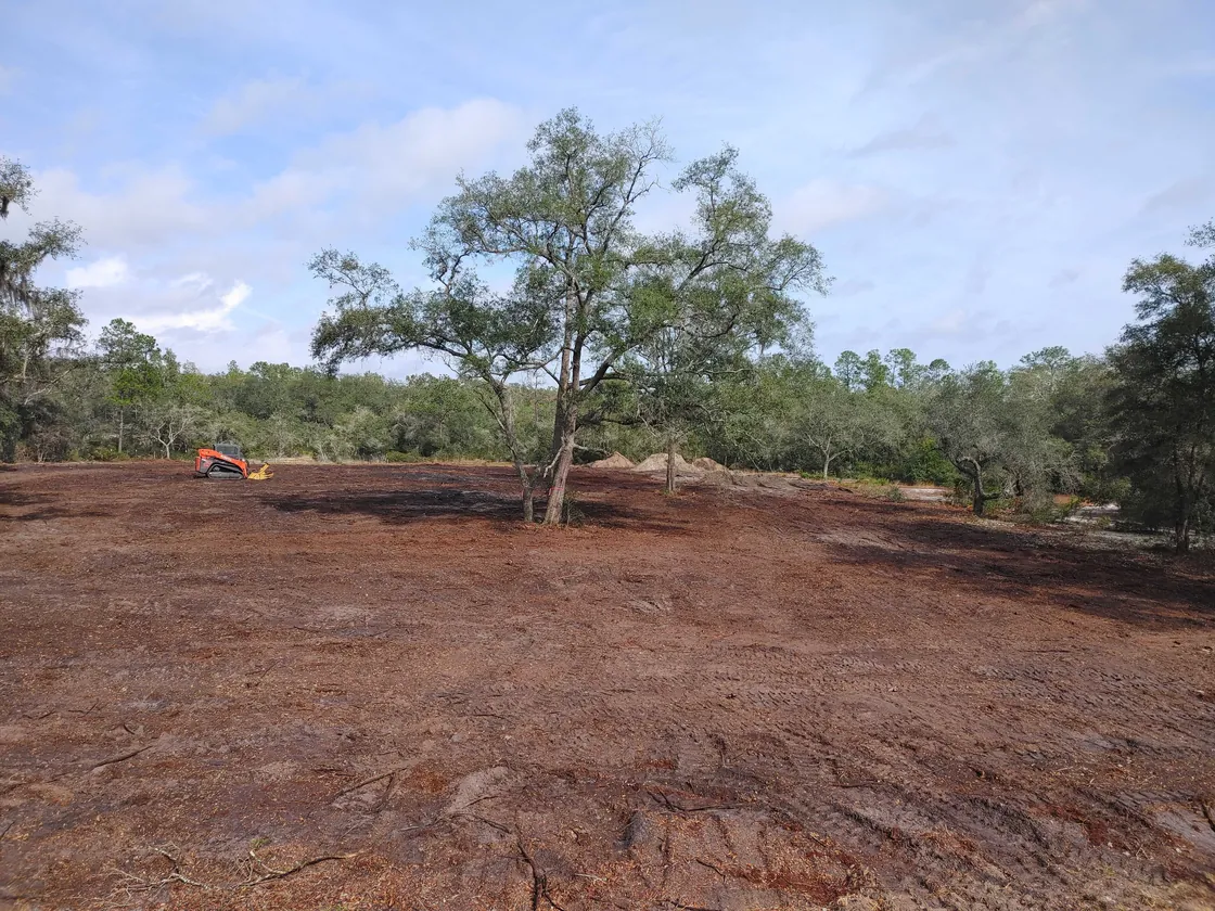 Wide cleared lot of bare red dirt graded level around a live oak left standing, land grading