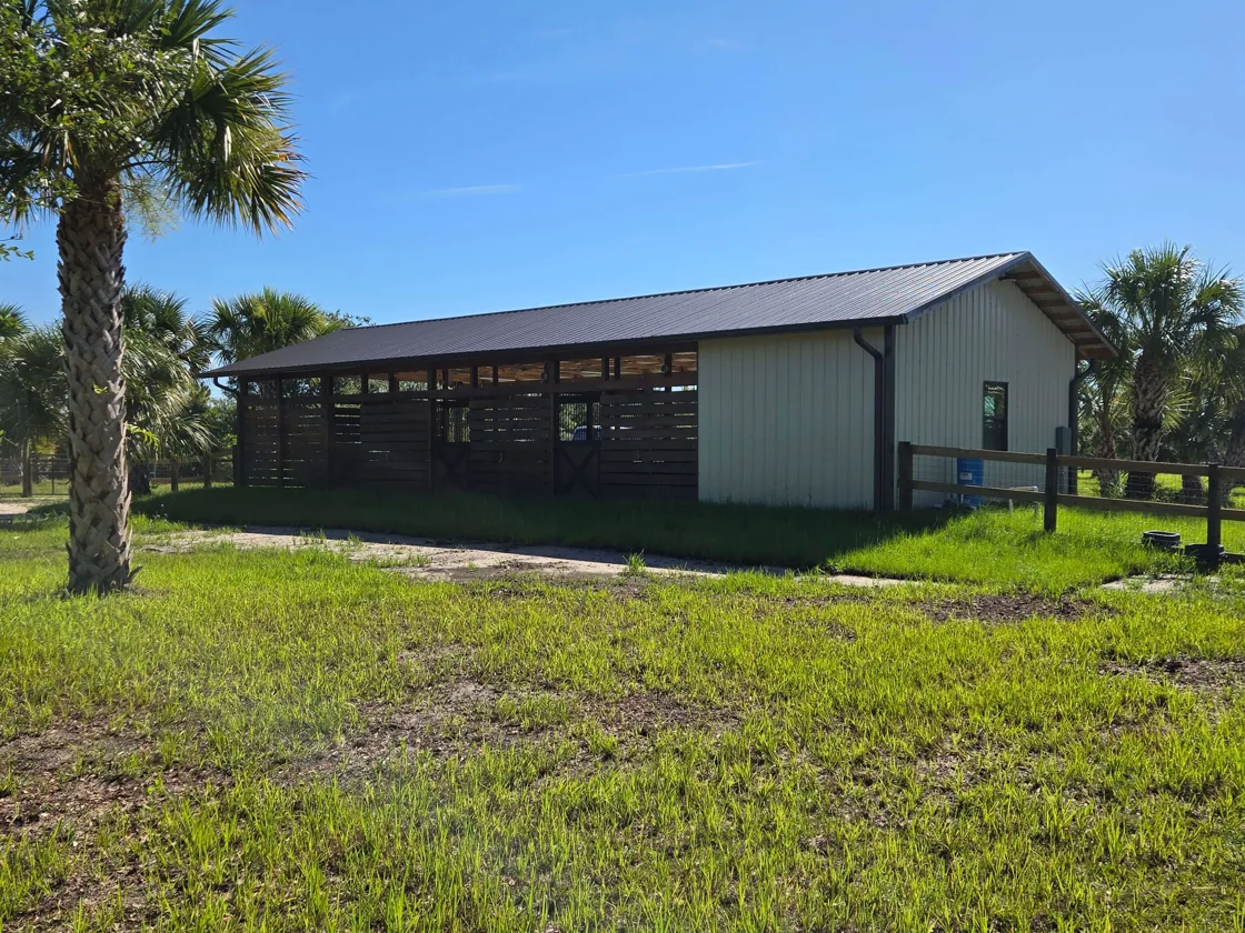 Finished pole barn with a metal roof, a closed end and open board stalls among cabbage palms, pole barns